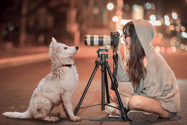 Photographer taking a picture of a dog